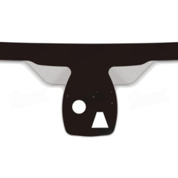 SZYBA CZOŁOWA BMW 6 SERIES F06,F12,F13 COUPE,CABRIO 10-  - nr części: 51 31 7 227 333,51317227333