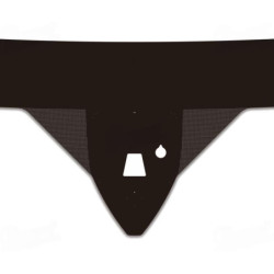 SZYBA CZOŁOWA FORD TRANSIT HIGH 2014-  - nr części: 2383270