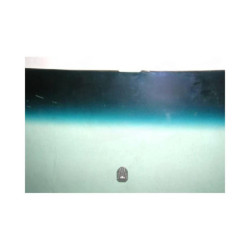 SZYBA CZOŁOWA FORD MUSTANG 2D MACH1 71-73