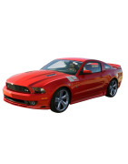 CONVERTIBLE 2005-2009